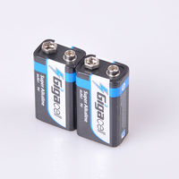 Piles alcalines 9V pour détecteurs de fumée pour appareils haute puissance