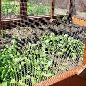 รั้วป้องกันสวนผักและรั้วป้องกันต้นไม้โลหะ, รั้วลวดตาข่ายชุบสังกะสีมาตรฐานตลาดประเทศไทย - Product Image 4