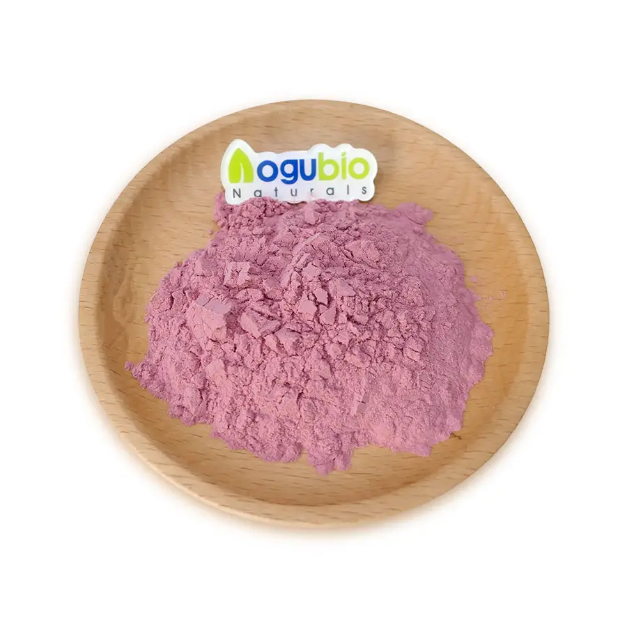 High Quality Acerola Cherry Extract Powder Natural Organic Cherry Powder 17% 25% Vitamin C