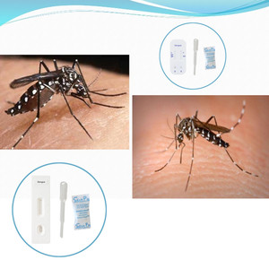 Dengue-Virus NS1-Antigendesektions-Kit, Dengue-Fieber-Selbsttest, Moskitobiss-Infektion Dengue NS1 IgG/IgM-Test