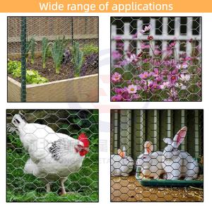 Grillage hexagonal galvanisé en gros pour volailles – Rouleau de treillis métallique pour poulets - Product Image 3