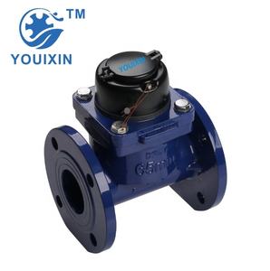 YOUIXIN LXLG-65 Medidor de Agua de Turbina con Brida de Alta Precisión IP68 DN50-200mm, Medidor de Flujo de Gran Diámetro para Agricultura y Ríos - Product Image 1