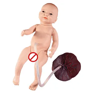 <span class=keywords><strong>Model</strong></span> Perawatan Tali Pusat Bayi Neonatal Lanjutan yang Realistis untuk Praktik Keperawatan - Product Image 1