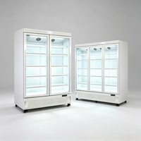Réfrigérateur commercial en verre à économie d'énergie avec système No Frost et vitrine réfrigérée pour boissons, idéal pour les buffets