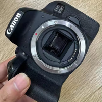 İyi Durumda 800D Canon Kamera Profesyonel Fotoğrafçılık Kullanılmış Kamera İkinci El Kamera Orjinal 800D