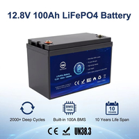 Paket Baterai LFP Lifepo4 12v 100Ah yang Dapat Disesuaikan untuk Sistem Penerangan Darurat, Penerangan Jalan Tenaga Surya, dan Daya Tambahan Campervan