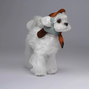 Umwelt freundliche moderne Mode Haustier hut <span class=keywords><strong>Nylon</strong></span> Solid Warm Down-Like Hund Winter Zwei-Wege-Verschleiß Kälte sicherer Flug hut Haustier Hunde hut - Product Image 2