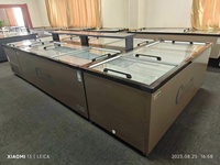 Réfrigérateur Commercial pour Glaces et Sorbets 366L, Vitrine Réfrigérée, Congélateur Supérieur