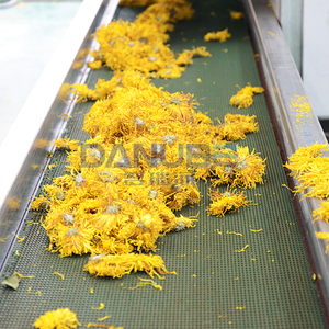Leading Technology Wild Chrysanthemum Mesh Belt Drying Machine Wild Chrysanthemum Dehydration - Product Image 2