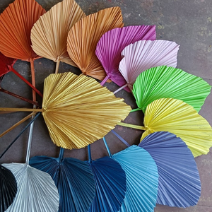 Hojas de Palma Secas, Teñidas de Colores, Hojas Naturales de Palma Secas para Arcos de Boda, Decoraciones Interiores y Exteriores - Product Image 1