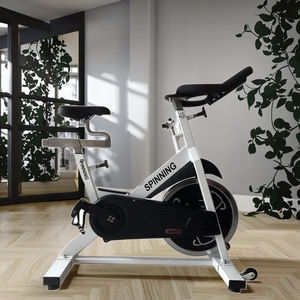 Bicicleta de Ejercicio de Grado Comercial con Resistencia Magnética Silenciosa para Gimnasio en Casa, Entrenamiento de Ciclismo en Interiores, Equipo de Fitness <span class=keywords><strong>Star</strong></span> Chi - Product Image 2