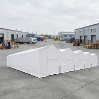 Abri de stockage extérieur moderne robuste à 5 baies en acier galvanisé étanche, grand abri pour deux voitures, pour marchandises industrielles