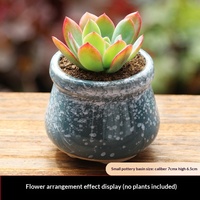 Mini pot de jardinage minimaliste pour plantes succulentes, fabriqué en... Modèle B01