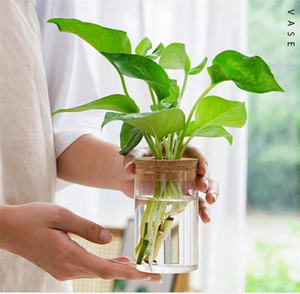 Glass <strong>Propagation</strong> Stations Terrariums Wooden Lid Bamboo Stand Eco-Friendly Handmade Garden Hydroponic Home Office Desk Plants - Product Image 3