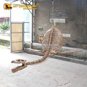 Squelette de dinosaure grandeur nature My Dino AA-F028, modèle de Plesiosaure pour parc d'attractions, à vendre - Product Image 4