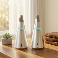 Diffuseur d'huiles essentielles sans eau, contrôlé par application, télécommande, rechargeable, 100 ml, acier inoxydable, pour la maison, l'hôtel, à piles