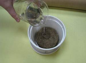 Prensado musgo de turba de briquetas de tablet para el crecimiento de las plántulas - Product Image 4