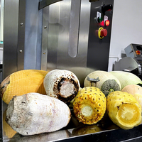 380V 800W Commerciële Pompoenmachine, Cantaloupe- en Ananas Schilmachine, Ananas- en Pompoenschilmachine
