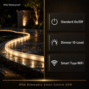 Bande lumineuse <span class=keywords><strong>LED</strong></span> COB 220V IP66 Étanche 120 <span class=keywords><strong>LED</strong></span>/m Ra≥90 Sans points noirs Coupable toutes les 10cm Effet Nuage DIY Personnalisable OEM 50-100M - Product Image 6