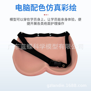 Modelo de cuidado de úlceras por presión por etapas, enseñanza de cuidado de ancianos, capacitación en el cuidado de úlceras por presión por etapas, cuidado de úlceras por presión - Product Image 5