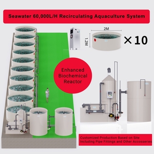 โซลูชั่นระบบ RAS ที่ครอบคลุมปรับแต่งได้แบบ Dayu สำหรับการเลี้ยงปลาที่มีประสิทธิภาพ - Product Image 6