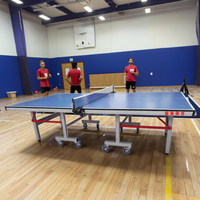 Nouveaux produits personnalisables Table de tennis de table pliable d'intérieur Prix d'usine bon marché Peinture d'activité