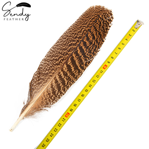 Plumas de pavo real natural barradas y moteadas de 10-12 pulgadas/12-14 pulgadas al por mayor para atado de moscas, sombrerería, manualidades y decoraciones - Product Image 5