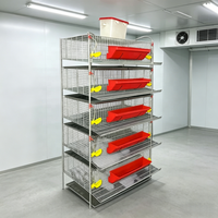 Cage à cailles de type H à 5 niveaux, très vendue, avec abreuvoir et mangeoire automatiques pour l'élevage de volailles