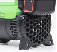 TGS Offre Spéciale 20V Souffleur de jardin sans fil de qualité industrielle Batterie au lithium Souffleur de feuilles Source d'alimentation électrique