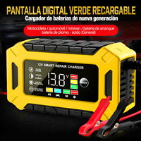 Chargeur de batterie de voiture portable à double tension 12V/6A pour maintenance automatique scellée au plomb fabricant OEM en gros