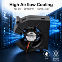 Ventilateur turbo silencieux 12V 3000 tr/min à double roulement à billes avec réinitialisation automatique pour le refroidissement des équipements de serveur