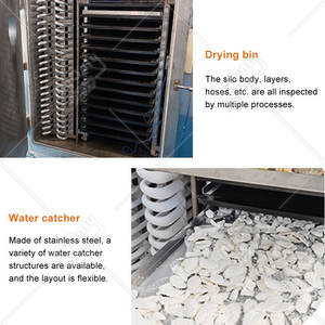 MY Lyophilisateur Industriel pour Aliments, <span class=keywords><strong>Machine</strong></span> de Lyophilisation des Fruits, <span class=keywords><strong>Machine</strong></span> de Séchage par Congélation pour Aliments - Product Image 4