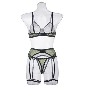 Conjunto de Lencería de Malla Transparente con Estampado de Leopardo de Lujo, Nuevo Conjunto de 3 Piezas de Sujetador y Tanga para Pechos Grandes - Product Image 6