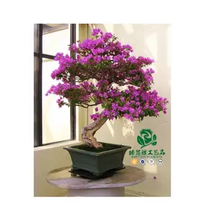 Zhen xin qi crafts Nearly Natural 40cm Artificial Bougainvillea Flower Bonsai for Home Garden Decoration