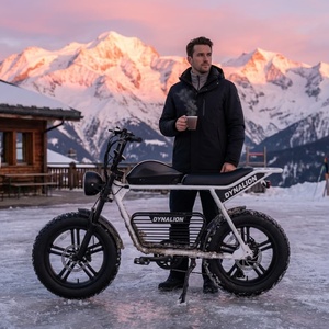 Weißes Fatbike E-Bike mit Scheibenbremsen, Resort-Ebike für Skiresort-Transport - Product Image 1