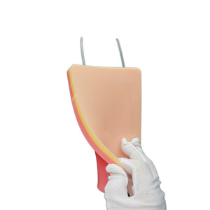 2025 phổ biến tự niêm phong <span class=keywords><strong>IV</strong></span> thực hành Pad tiêm giống như thật và mô phỏng rút máu cho sinh viên điều dưỡng - Product Image 4