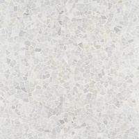 Projets commerciaux : Mosaïque de marbre blanc de Carrare authentique, naturel, vieilli, poli, découpé au jet d'eau, pour piscines et villas