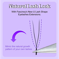 Extensions de cils en forme de U YY 0,07 mm, plateau d'extensions de cils 2D en forme de trèfle, personnalisation gratuite du logo et de l'emballage
