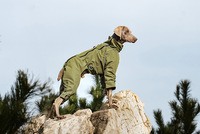 PETBUCK Manteau de Pluie Textile Classique Moderne Style Ferme pour Chien, Imperméable Toutes Saisons, Couleur Unie, Chaud et Confortable, Équipement Actif