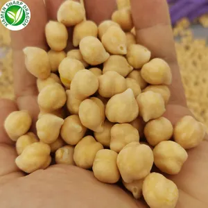 IQF 냉동 유기농 병아리 콩 동결 중국 상인 조립 라인 가공 공장 대량
