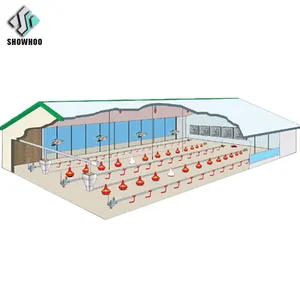 Structure ferme avicole hangar bâtiment poulet ferme maison conception pas cher construction acier nouveau poulailler hangars à poulets à vendre