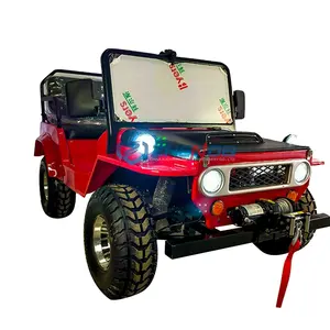 2024 New products hot CE 150cc Mini Willys Dune Buggy Jeep car for sale