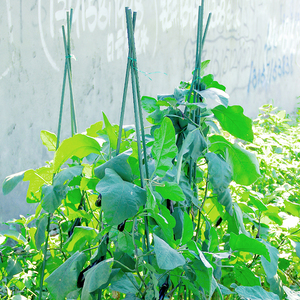 Cọc đỡ cây leo, cọc đỡ hoa, giá đỡ cà chua, cọc thép, cột nông nghiệp, trụ nhà kính, cọc vườn - Product Image 5