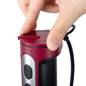 Nouveau Mixeur Plongeant Portable RAF 1600W en Acier Inoxydable avec 4 Lames pour Cuisine - Product Image 2