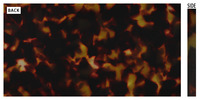 Feuille d'acétate de cellulose de couleur jade imité marron 6MM pour lunettes de peigne en épingle à cheveux