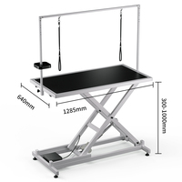 Vente en gros, table de toilettage électrique avec lumière LED pour animaux de compagnie, table de toilettage pour grands chiens, table de toilettage pour animaux de compagnie