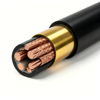 Double Shielded Twisted Pair Instrument Cable, 300/500V, for DCS PLC System and Control Equipment