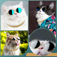 Lunettes de soleil de chat de chien de protection contre le vent et les UV de mode