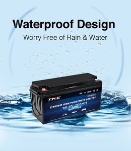 铅酸替代锂电 12V 24V 36V 50Ah 100Ah 200Ah LiFePO4 电池，适用于拖钓电机、房车、露营车、房车拖车 - Product Image 4