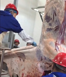 Machine d'abattage automatique halal professionnelle pour bovins, équipement de dépeçage motorisé pour abattoir, <span class=keywords><strong>matériel</strong></span> de <span class=keywords><strong>boucherie</strong></span> de haute qualité - Product Image 3